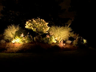 Planting Beds – Cooper Landscape Lighting