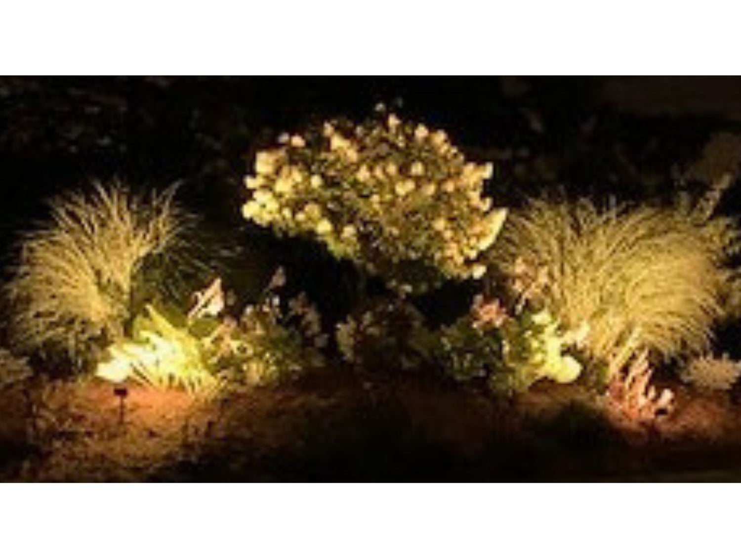 Cooper Landscape Lighting